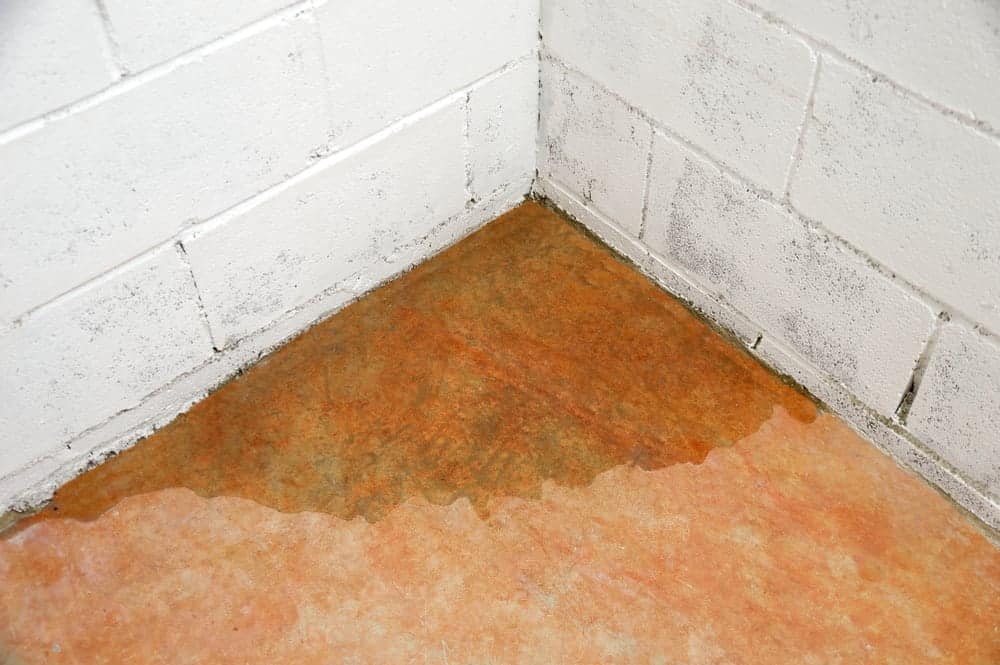 Basement With Leak Needing Waterproofing